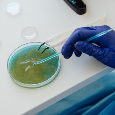 Biotechnology and life sciences
